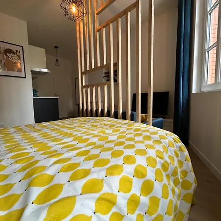 Blue Forest - T1 Hyper Centre - Paisible * 툴루즈