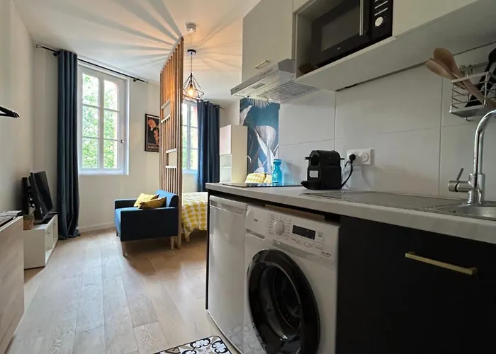 Apartamento Blue Forest - T1 Hyper Centre - Paisible Toulouse